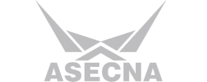 Agence pour la sécurité de la navigation aérienne en Afrique et à Madagascar